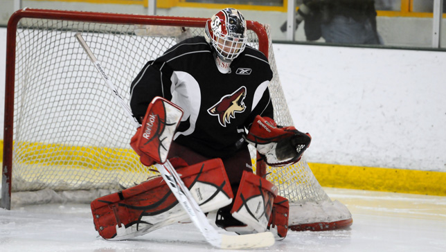 Mike Lee - Photo Courtesy of coyotes.nhl.com
