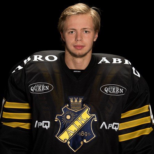 Nicklas Lundstrom-Courtesy of svenskafans.com