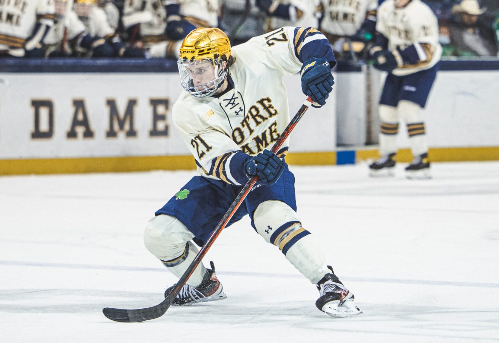 Max Ellis – DobberProspects