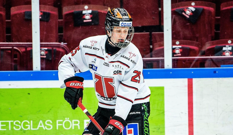 Elias Pettersson, NHL Hockey Wikia