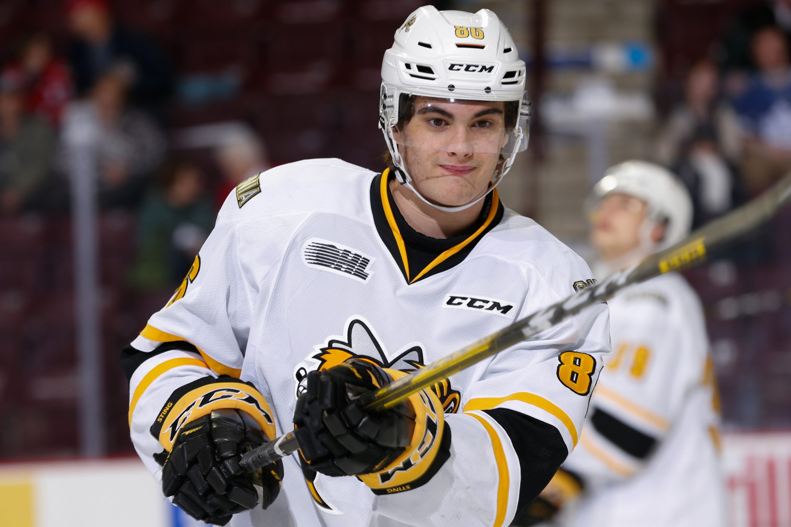 Ontario Hockey League on X: Nolan Burke in good @StingHockey company  entering the weekend 🐝  / X