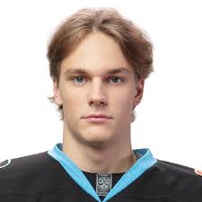 https://en.khl.ru/players/41762/