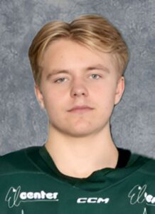 https://www.hockeydb.com/ihdb/stats/pdisplay.php?pid=268664