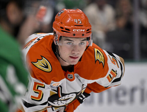 Prospect Ramblings: Risers and Fallers from Dobbers Top 200 Fantasy Prospect Forwards