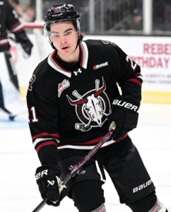 https://neutralzone.com/nhl/nhl-prospect-player/Beckett-Hamilton-55738/