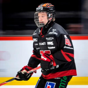 Ludvig Andersson