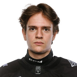 Yaroslav Fedoseyev